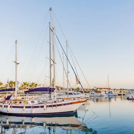 San Policarpo Id190 * Torrevieja