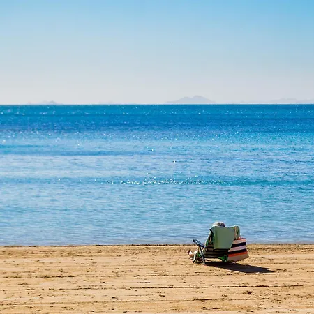 San Policarpo Id190 Torrevieja