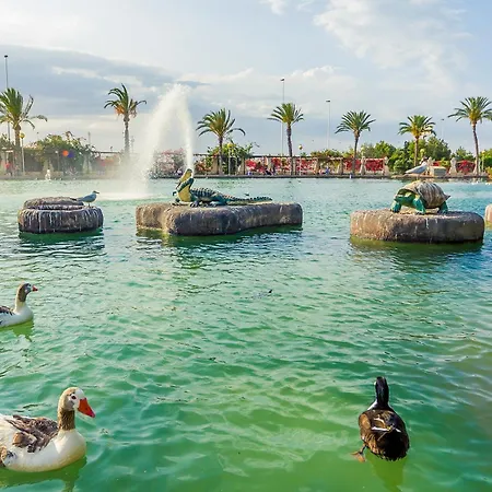 San Policarpo Id190 * Τορεβιέχα